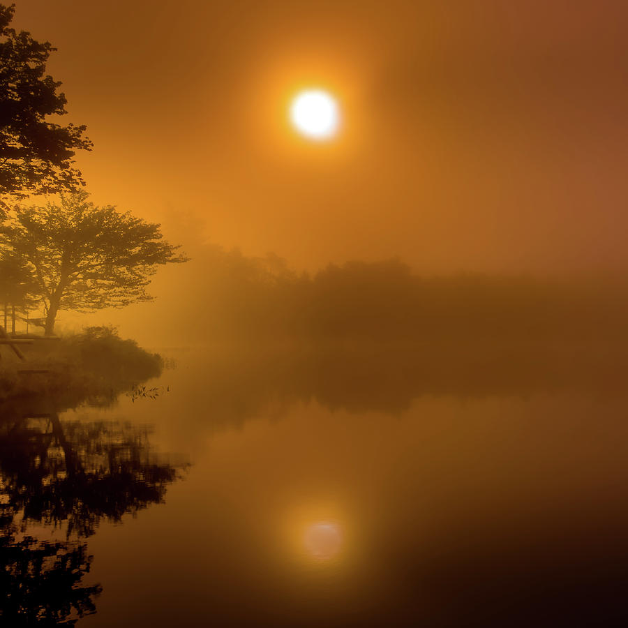 Sun Rising Through The Fog Photograph