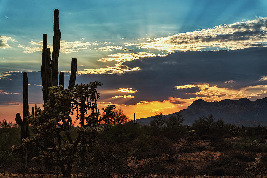 Sun Sets On The Goldfields Photograph by Saija Lehtonen - Fine Art America