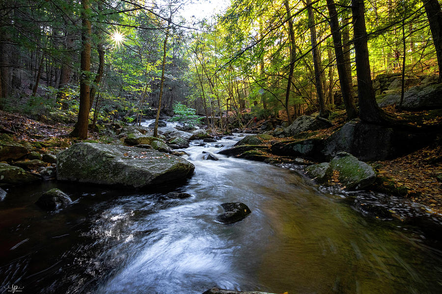 Escape to Enders State Forest: Your Gateway to Nature's Serenity