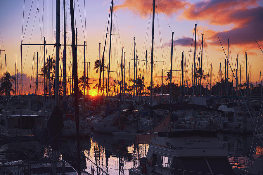 Sun Setting at the Harbor Photograph by Lucinda Walter