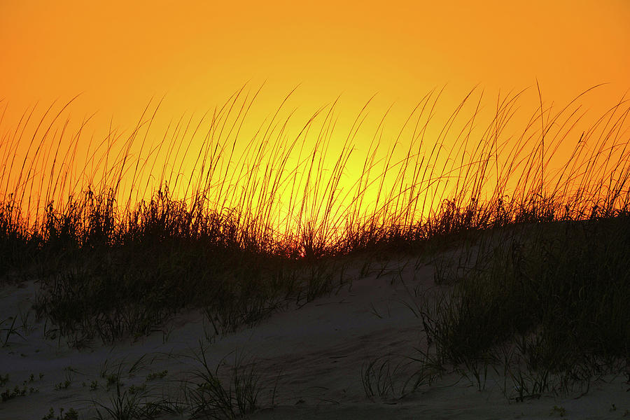 Sun Setting Behind Dunes Photograph by Scott Burd