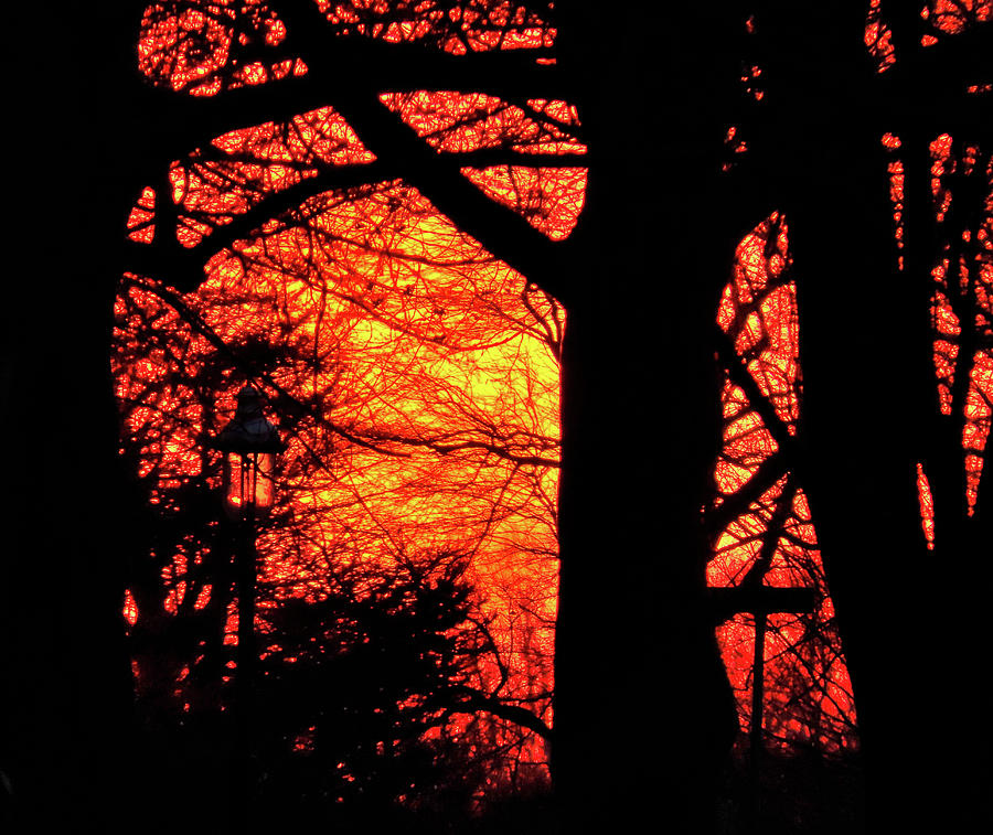Sun Setting Fire in the Sky Behind Lamppost and Trees Photograph by Linda Stern