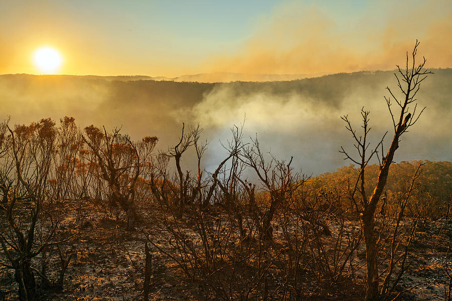 Sun setting in burnt smouldering mountain landscape with smoke filled valley after forest fire, bushfire in Blue Mountains, Australia Photograph by Andrew Merry