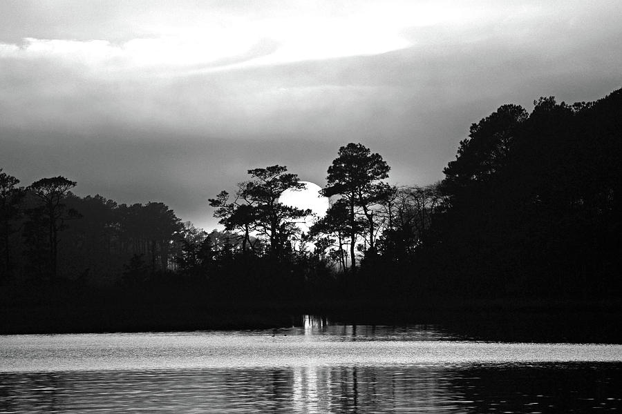 Sun Setting in Trees of Assawoman Bay in Black and White Photograph by Bill Swartwout