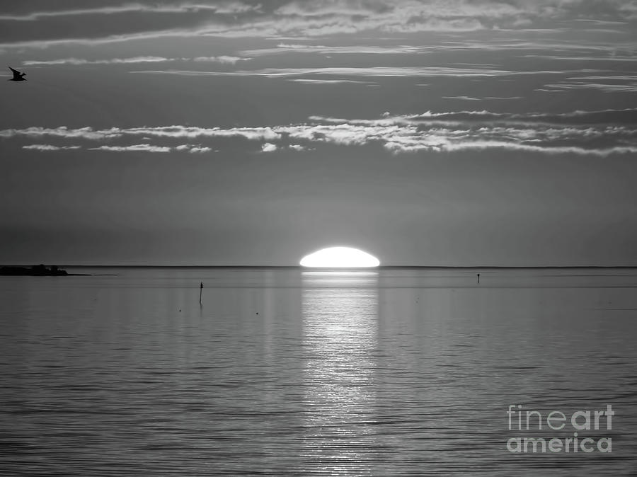Sun Setting Over The Horizon-Black and White Photograph by D Hackett