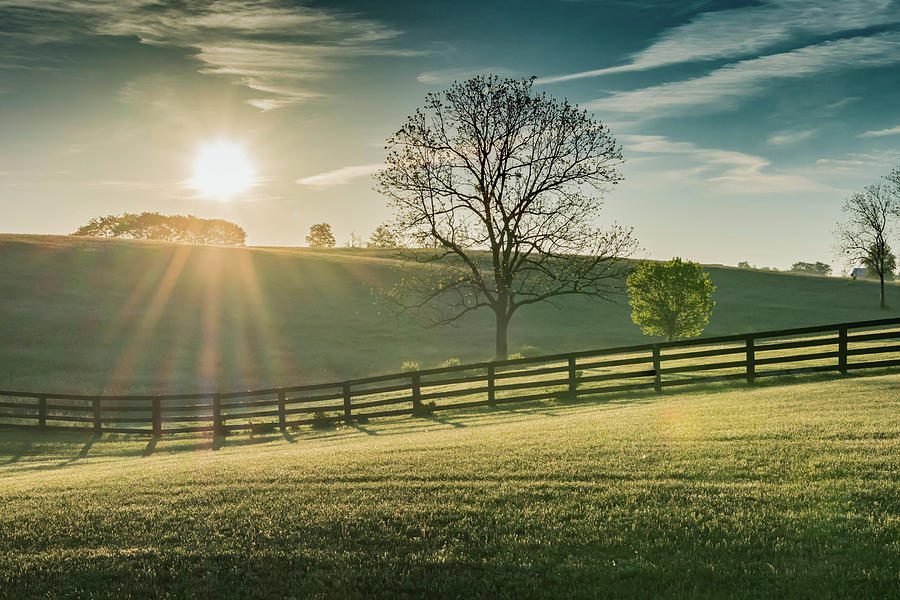 Sun Shines Over Rolling Kentucky Field Photograph by Kelly VanDellen