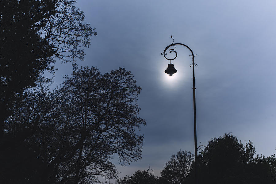 Sun shining through street lamp Photograph by Pawel Wewiorski