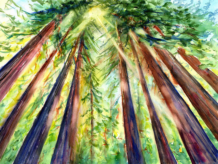 Sun Sparkles on Sequoia Redwood Trees Painting by Carlin Blahnik CarlinArtWatercolor