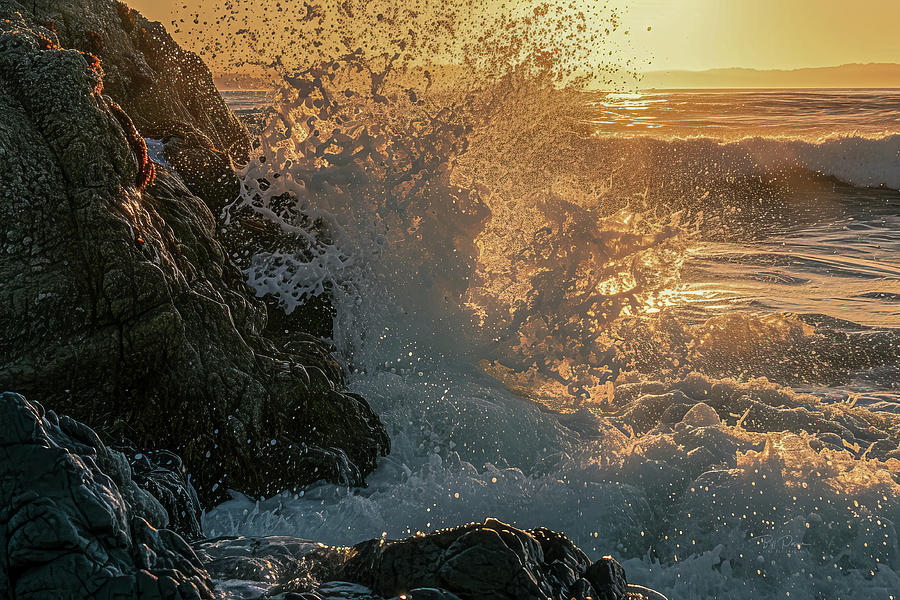Sun Splash Photograph by Bill Posner Sun Splash Photograph by Bill Posner