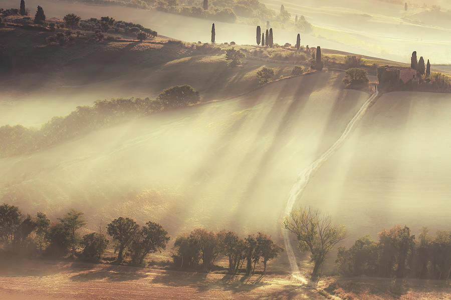 Sun Splashed Hills Photograph by Don Schwartz