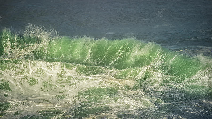 Sun Stroked Wave Photograph by Bill Posner