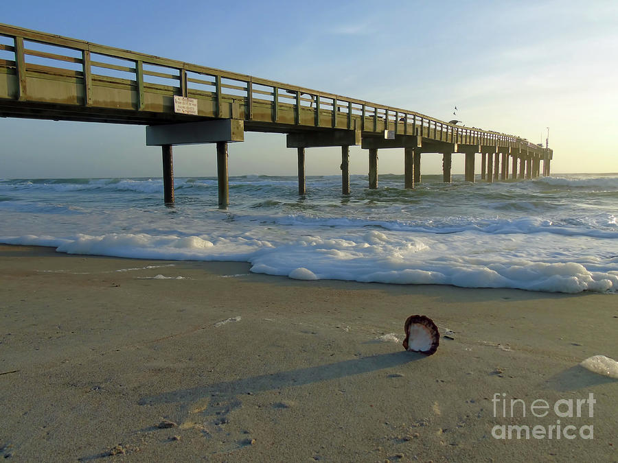 Sun Surf and Seashell At The Pier Photograph by D Hackett
