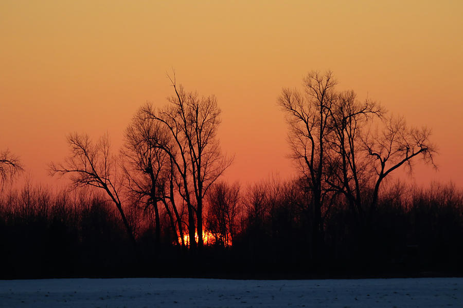 Sun Up Photograph by Brook Burling