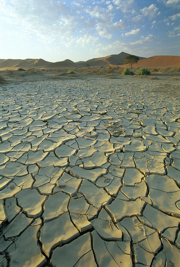 Sunbaked Mud Pan/cracked Earth, Near Sossusvlei, Namib Naukluft Park, Namibia, Africa Photograph by Lee Frost / robertharding Sunbaked Mud Pan/cracked Earth, Near Sossusvlei, Namib Naukluft Park, Namibia, Africa Photograph by Lee Frost / robertharding