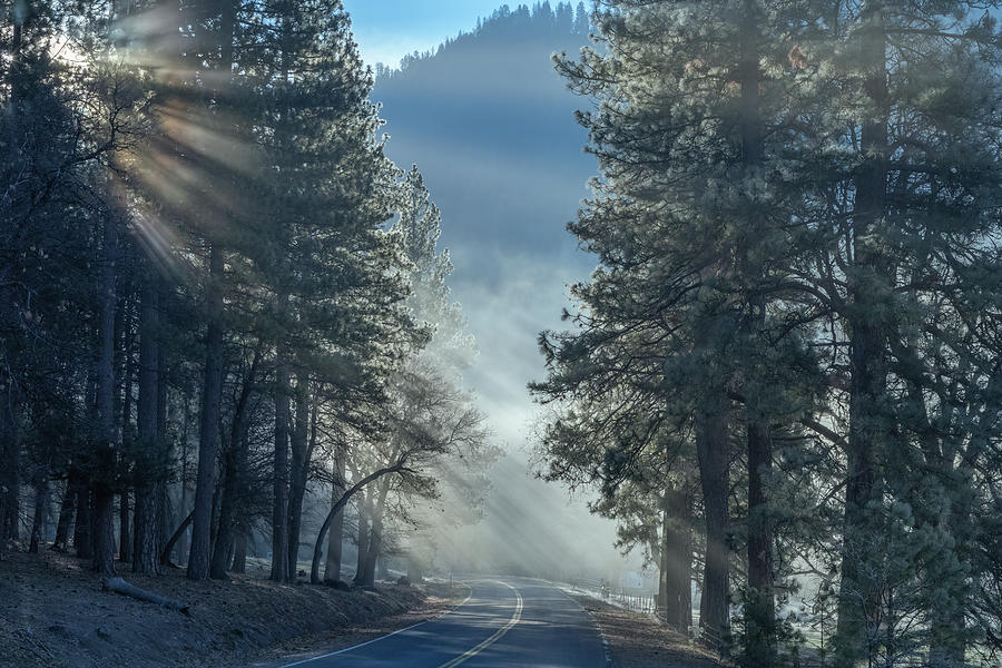Sunbeam Drive Photograph by Randy Robbins Sunbeam Drive Photograph by Randy Robbins