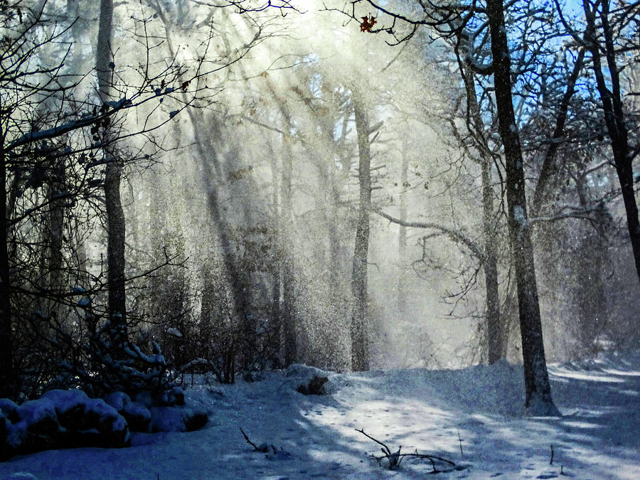 Sunbeams in Winter Photograph by Dianne Cowen Cape Cod Photography