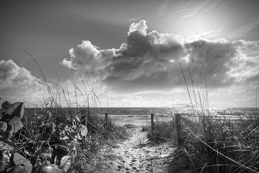 Sunbeams on the Dunes in Black and White Photograph by Debra and Dave Vanderlaan