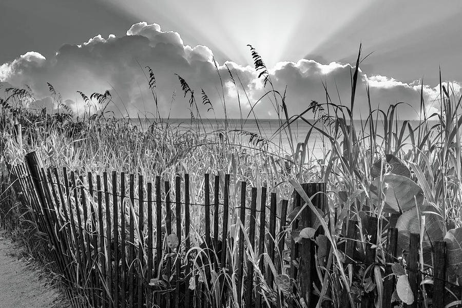 Sunbeams over the Ocean Dunes in Black and White Photograph by Debra and Dave Vanderlaan