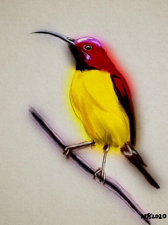 Sunbird Digital Art by Michael Kallstrom