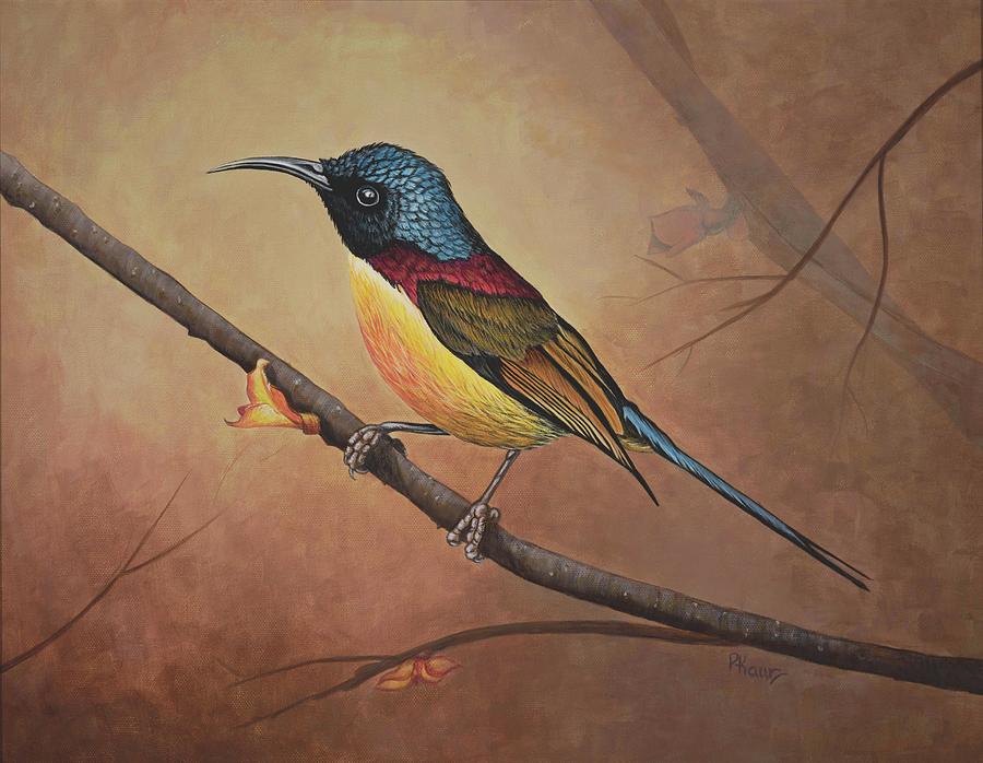 sunbird painting