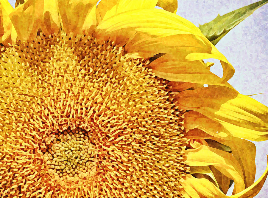 Sunbright Sunflower Digital Art by Gaby Ethington