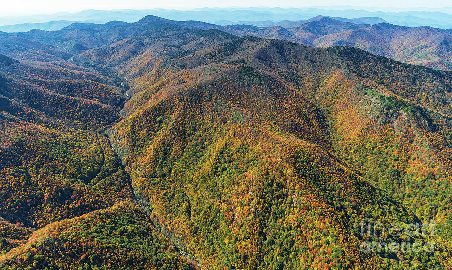 Sunburst Falls and Fork Ridge in Middle Prong Wilderness in Haywood County Photograph by David Oppenheimer