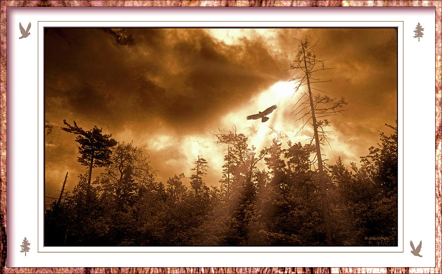 Sunburst, Hawk, Over a Mountain Thicket Digital Art by A Macarthur Gurmankin