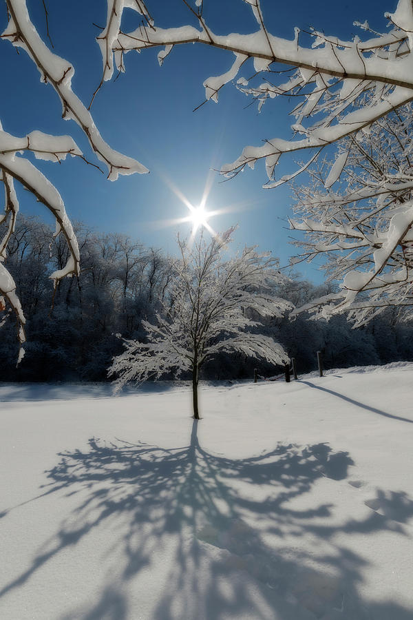 Sunburst on cold winter day Photograph by Dan Friend