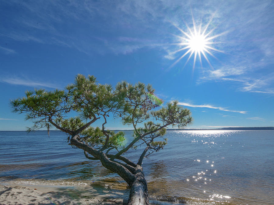Sunburst Over the Pamlico by Dave Hilbert Sunburst Over the Pamlico by Dave Hilbert