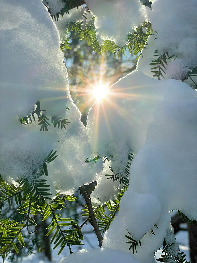 Sunburst through the snow on cold winter day Photograph by Dan Friend
