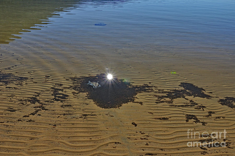 Sunburst under Water  Photograph by Amazing Action Photo Video