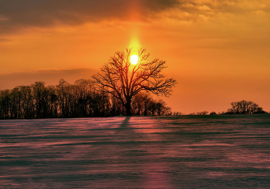 Suncatcher - sunset with sun pillar behind a solitary oak tree in winter WI field Photograph by Peter Herman