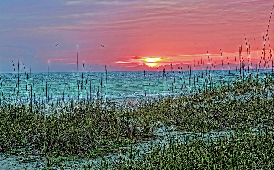Suncoast Sunset Photograph by HH Photography of Florida
