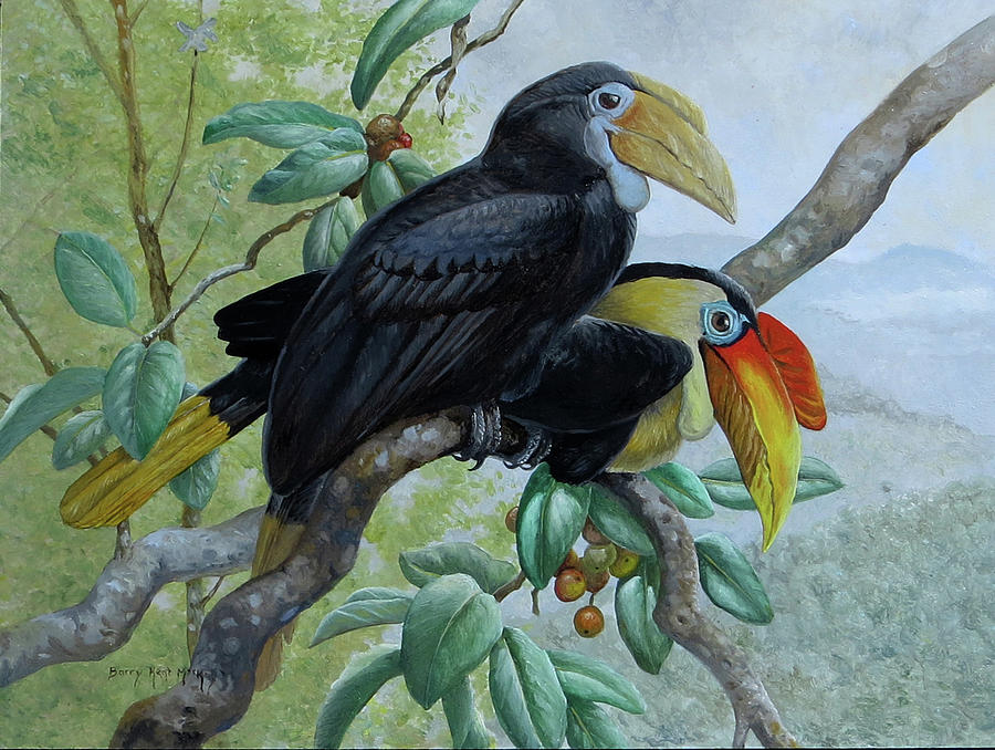 Sunda Wrinkled Hornbill Painting by Barry Kent MacKay Sunda Wrinkled Hornbill Painting by Barry Kent MacKay