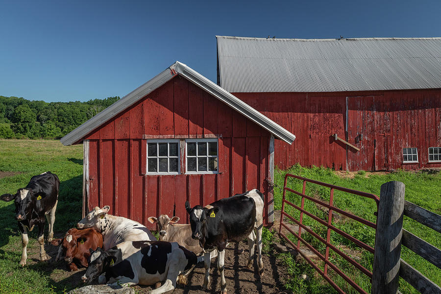 Sunday at the Farm Photograph by Debbie Gracy | Pixels