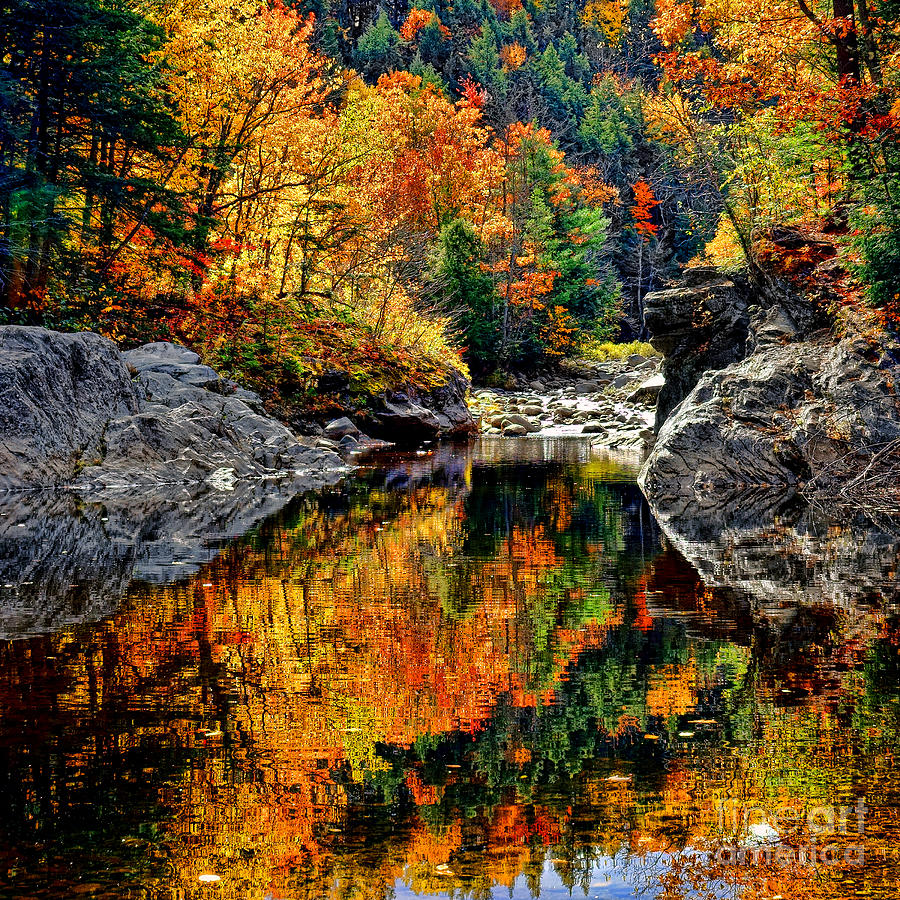 Sunday River Reflection Photograph by Olivier Le Queinec