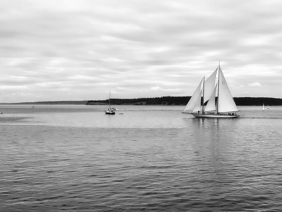 Sunday Sail Photograph by Steph Gabler