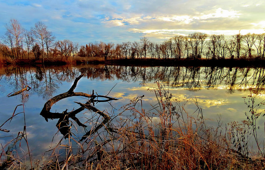 Sundown Approaching at the Beaver Pond Photograph by Linda Stern