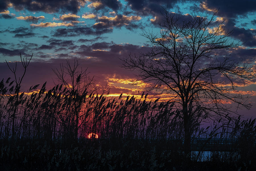 Sundown At Matapeake Photograph by Robert Fawcett