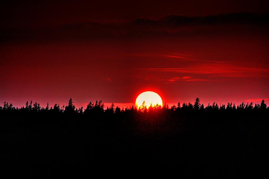 Sundown  Photograph by David Matthews