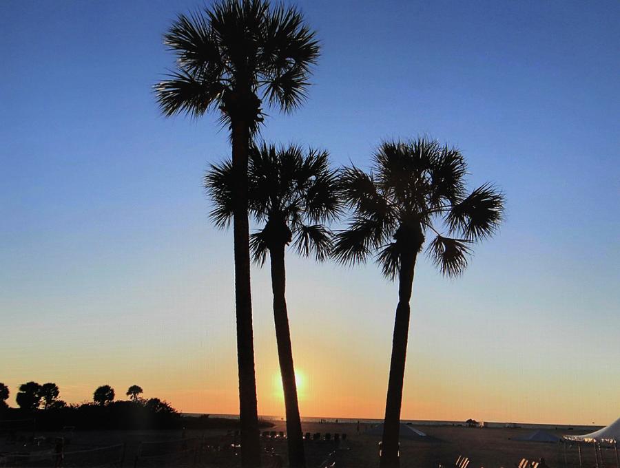 Sundown In Clearwater Florida Photograph by Lorna Maza