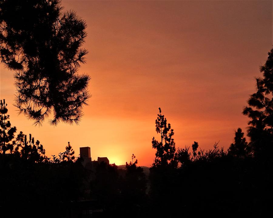 Sundown In LA Photograph by Andrew Lawrence
