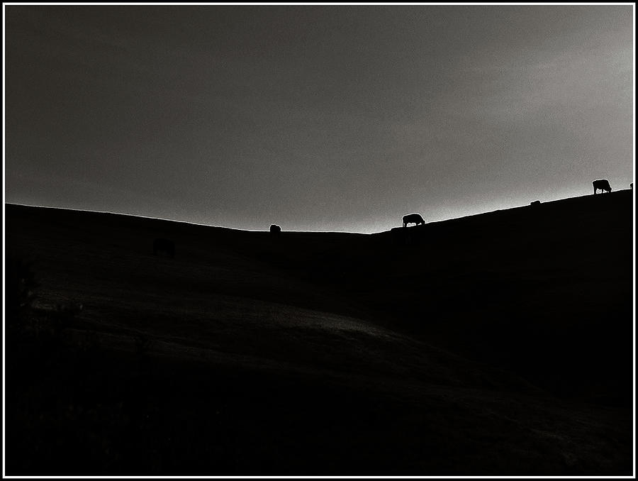 Sundown Monochrome Photograph by Wayne King