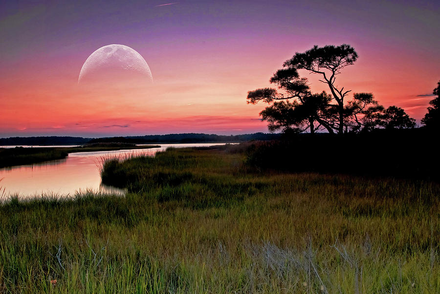 Moonrise over Assawoman Bay, Delaware Photograph by Bill Jonscher