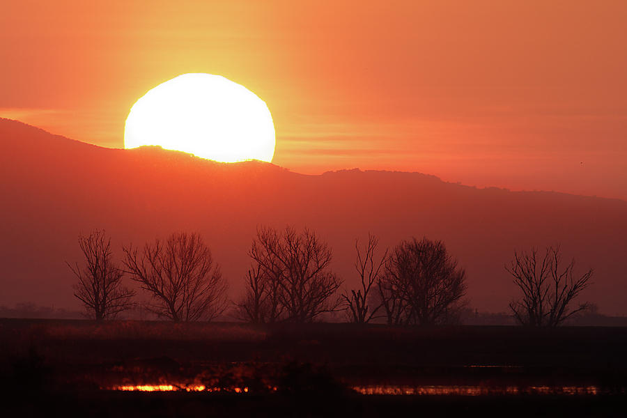 Sundown -- Sunset at Merced National Wildlife Refuge, California Photograph by Darin Volpe