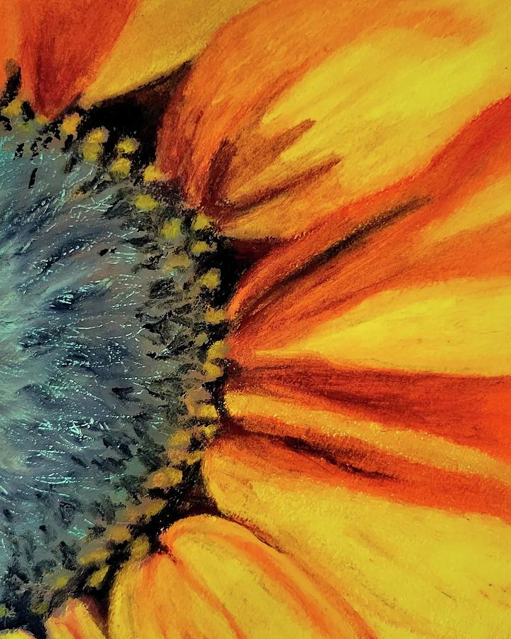 Sunflower 2 Pastel By Kelly Popella 