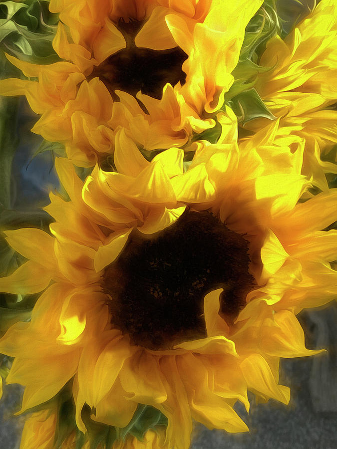 Sunflower 2020 Digital Art by Cindy Greenstein