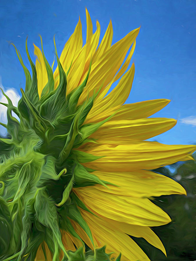 Sunflower 221 Mixed Media by Cindy Greenstein