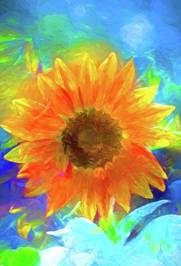 Flower Photograph - Sunflower 24 by Pamela Cooper