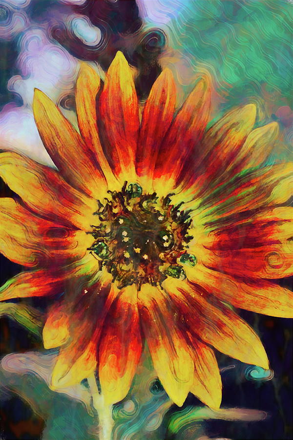 Sunflower 36 Photograph by Pamela Cooper